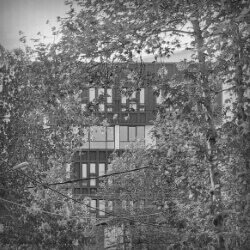 click to go to slide 13